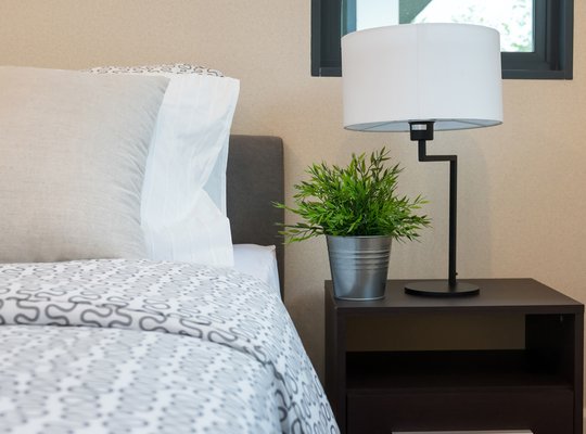 modern bedroom with white lamp and plants on table